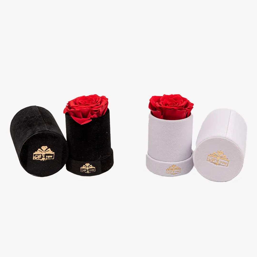 Uno – Gift4youshop
