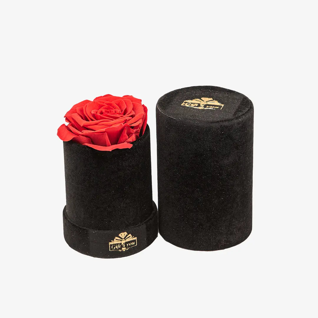 想い出のUNO Uno – Gift4youshop