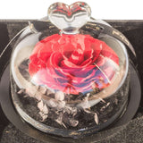 Eternal Love (Real Preserved Rose)