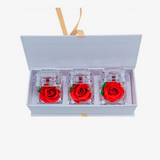 Love Bundle (Preserved Roses)